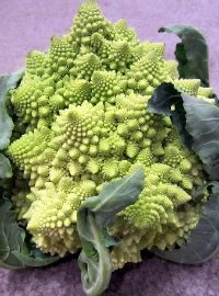 Romanesco Cauliflower