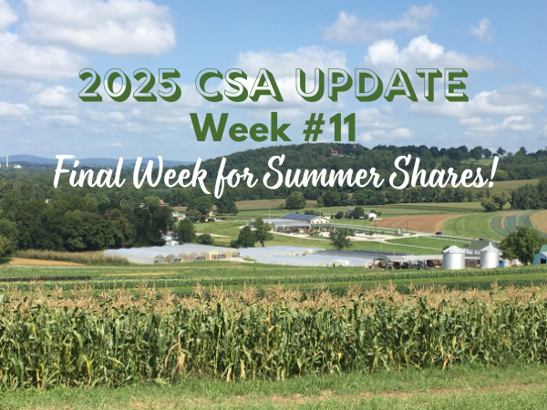2025 CSA Week #11 Update