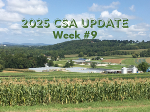 2025 CSA Week #9 Update