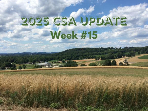 2025 CSA Week #15 Update