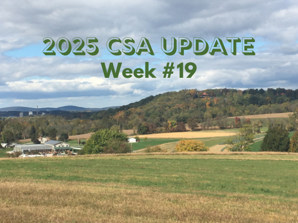 2025 CSA Week #19 Update